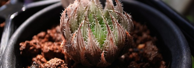 130307