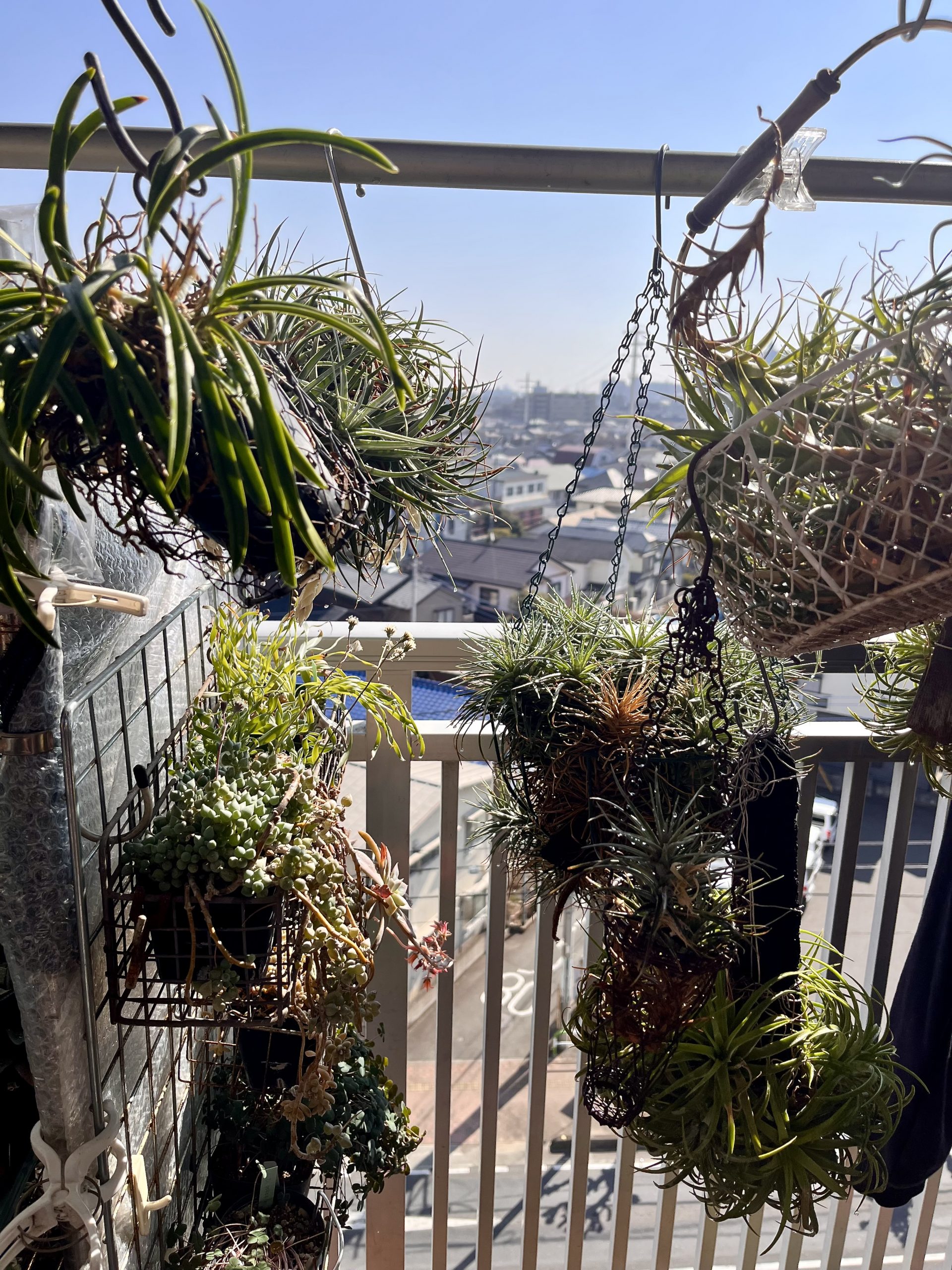 Thumbnail of new posts 140